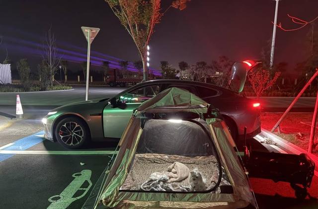 注 专家：鼓励探索精神 但安全是前提新葡京娱乐年轻人旅游带帐篷过夜引关(图2)